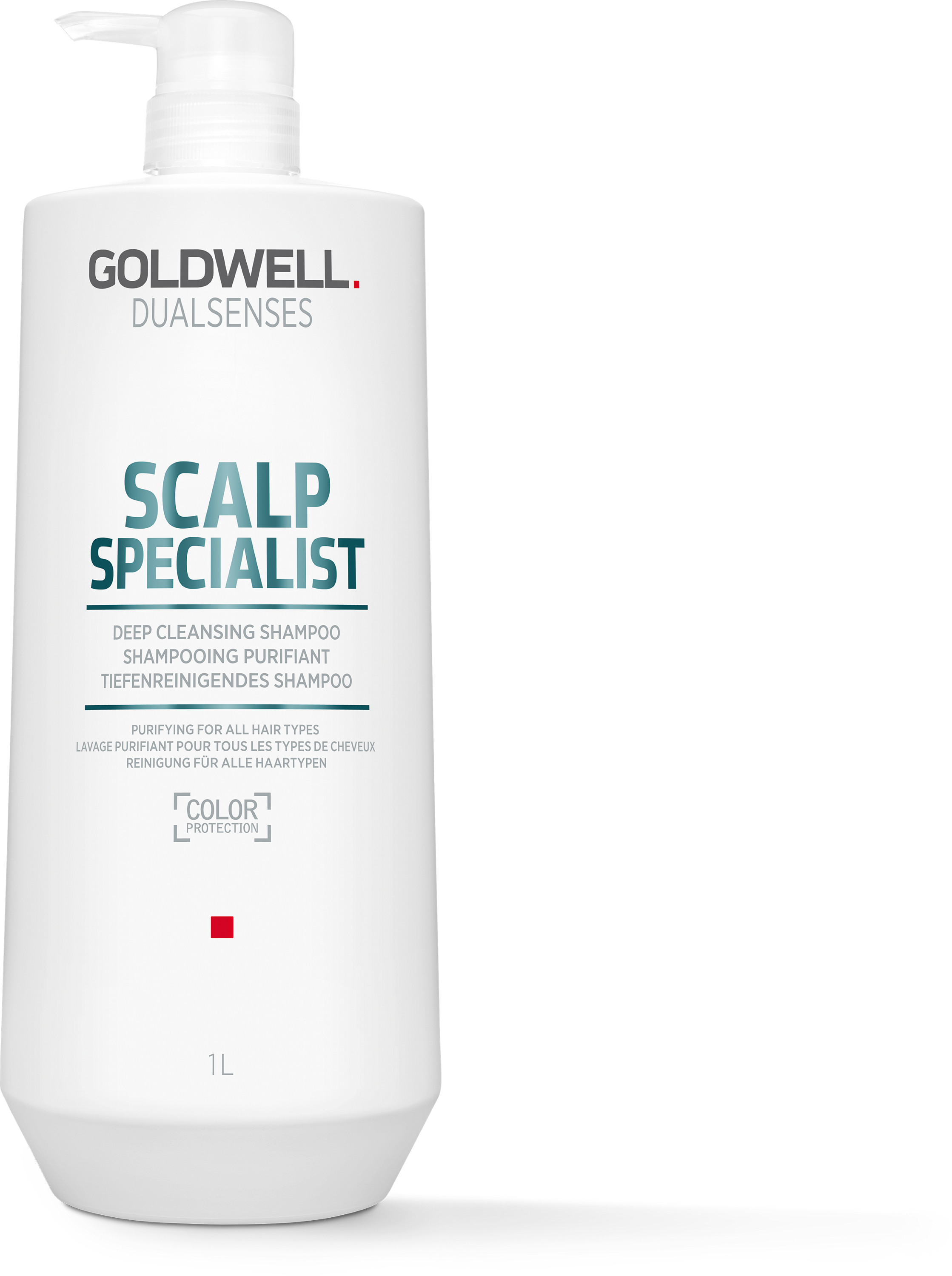 DS SS DC SHAMPOO 1000ML REF23