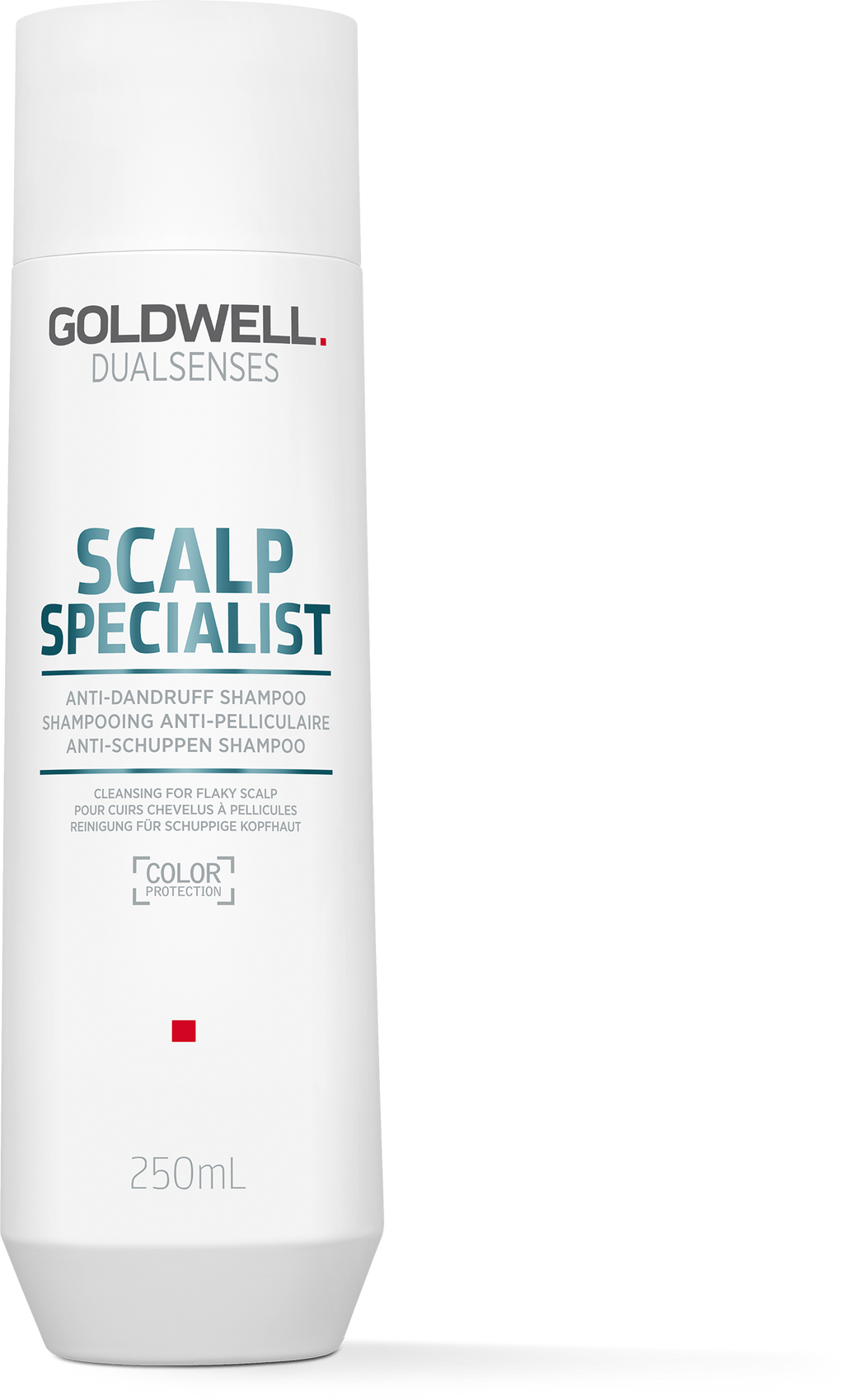 DS SS AD SHAMPOO 250ML REF23