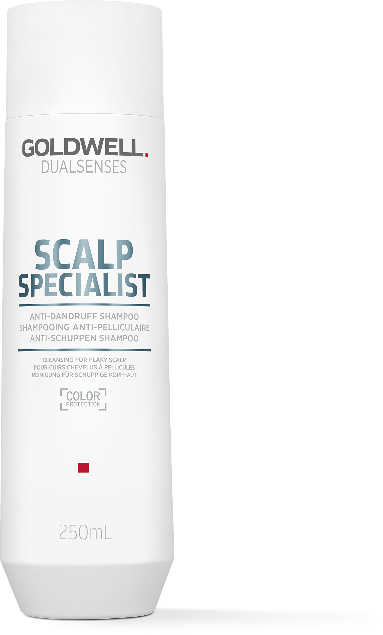 DS SS AD SHAMPOO 250ML REF23