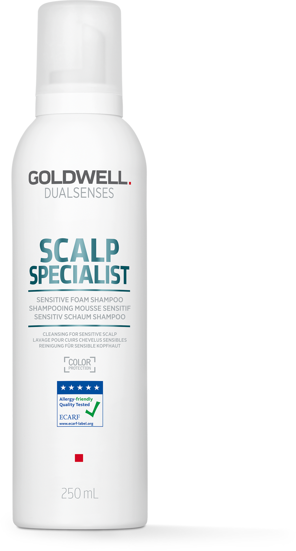 DS SS FOAM SHAMPOO 250ML REF23