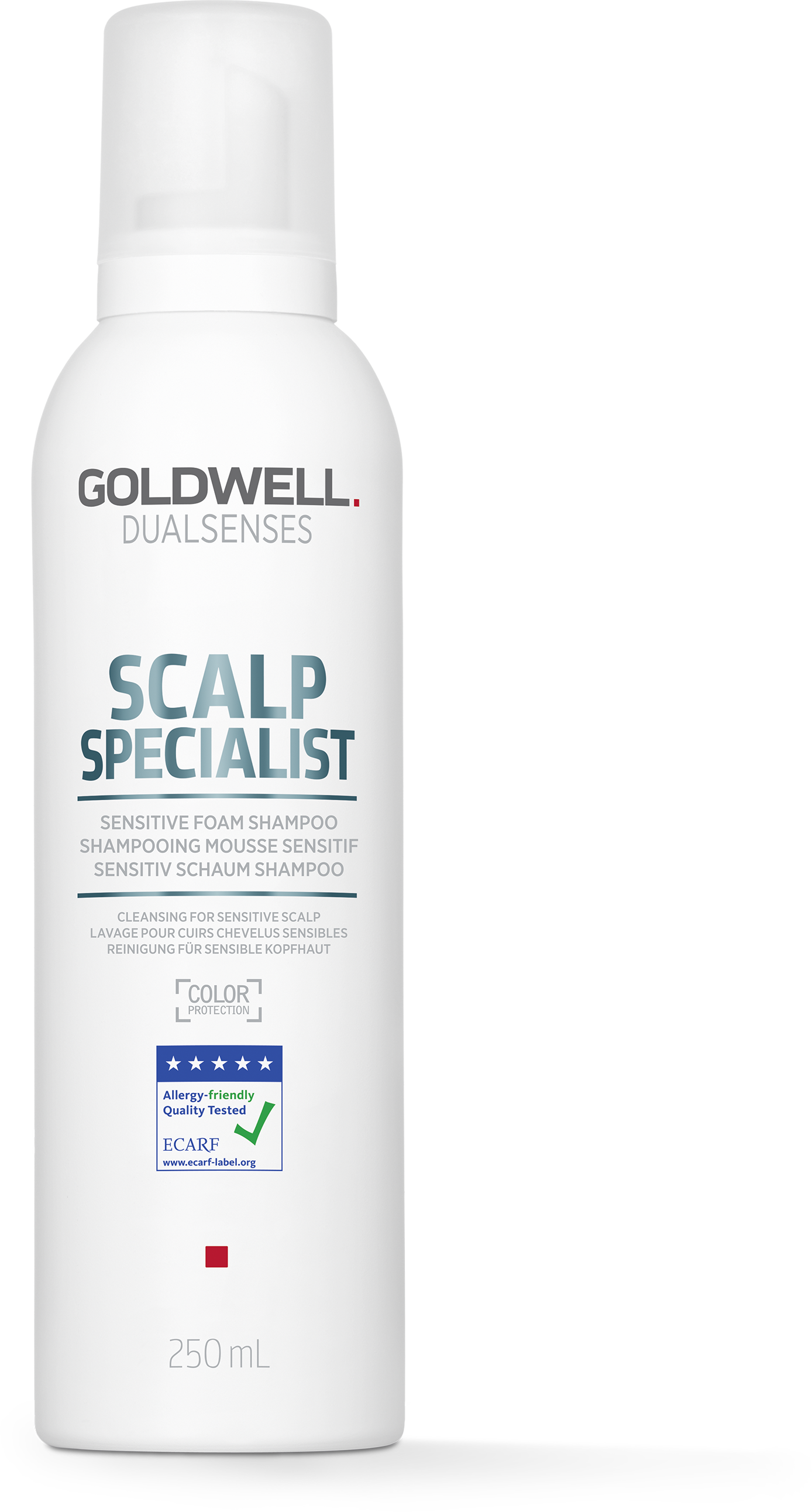 DS SS FOAM SHAMPOO 250ML REF23